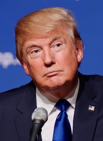 Donald Trump idol