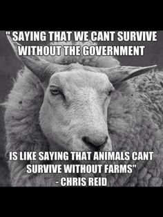 No government?
