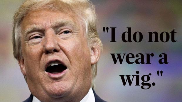 Donald Trump wig