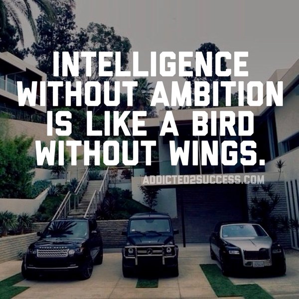 Intelligence without Ambition is like a bird without wings