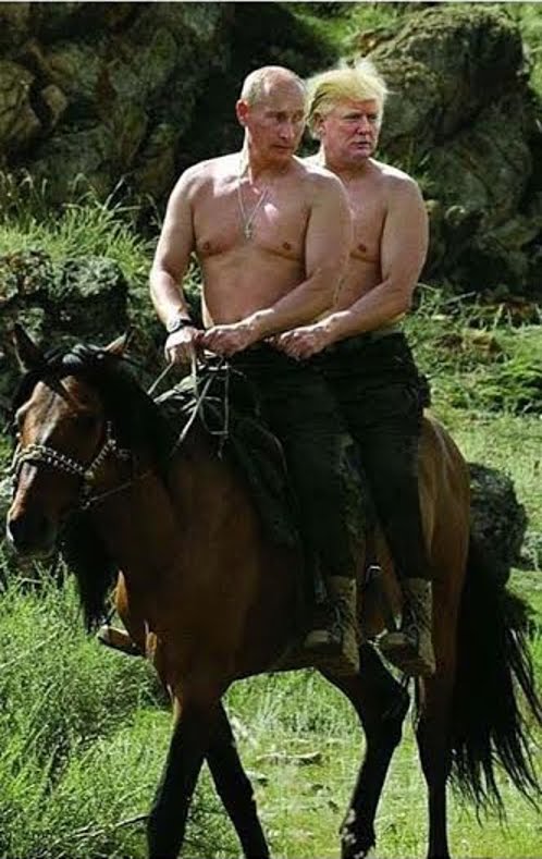 Trump & Putin bromance