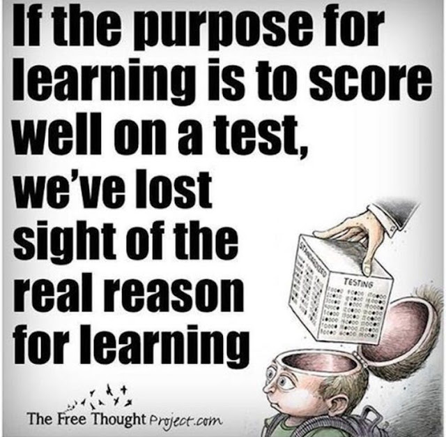 education system failure