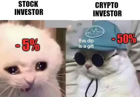Stock Investor vs Crypto Investor