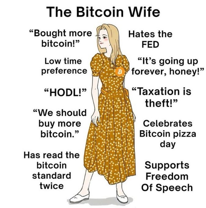 The Bitcoin Wife