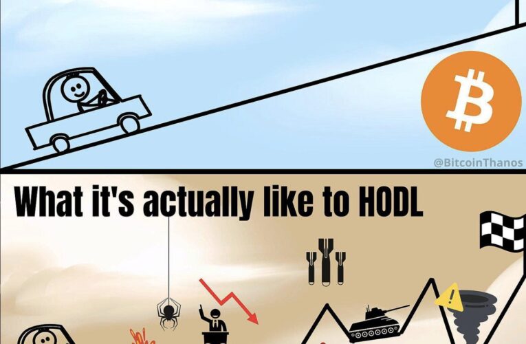 The Harsh Reality of HODLing
