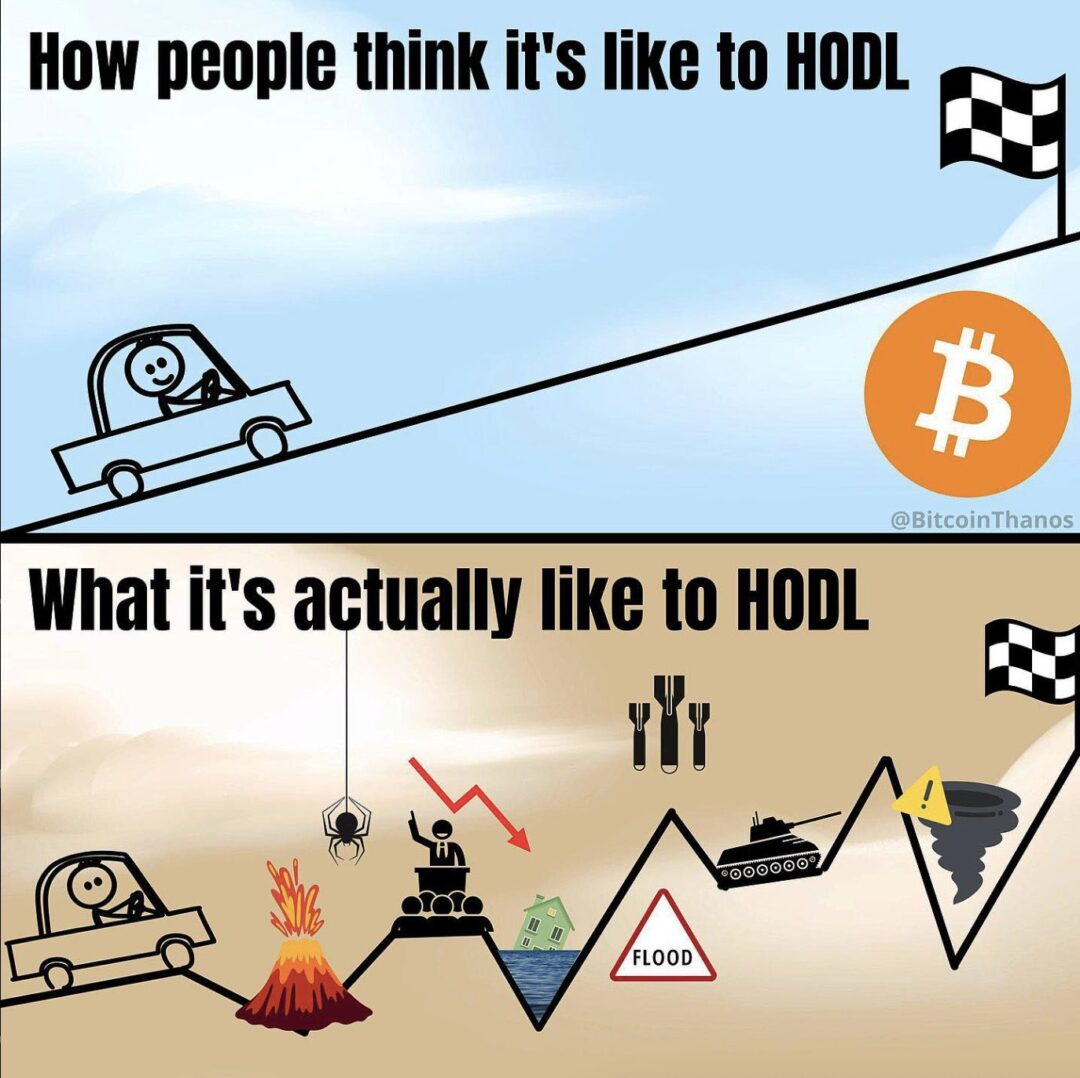 The Harsh Reality of HODLing